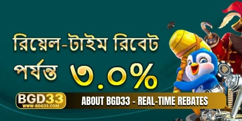 About BGD33 - Real-time rebates