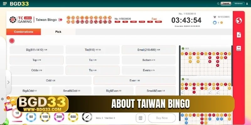 About Taiwan Bingo