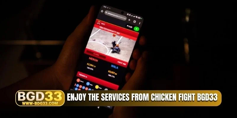 Enjoy the services from Chicken Fight BGD33