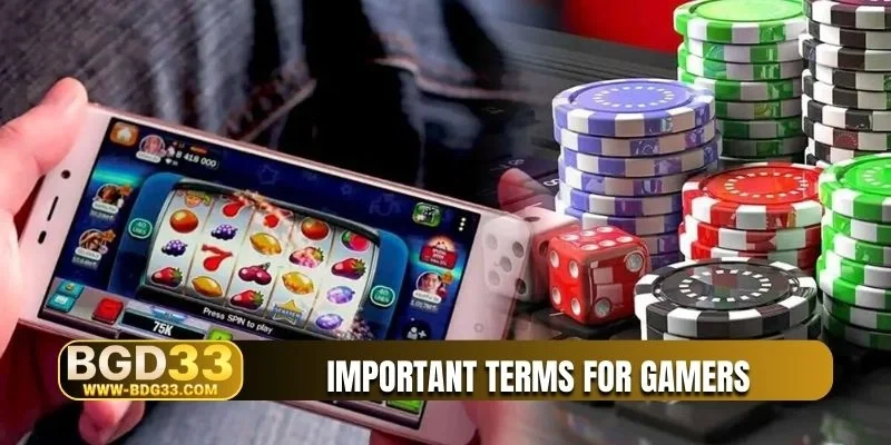 Important terms for gamers