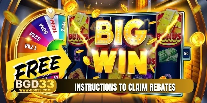 Instructions to claim rebates