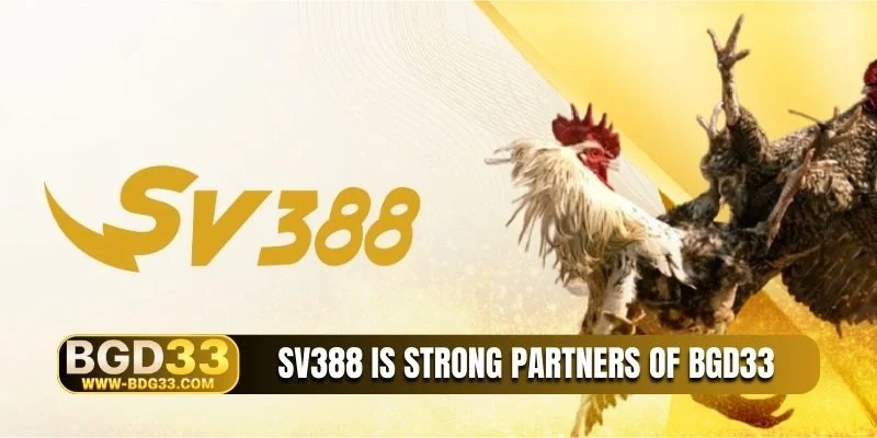 SV388 is strong partners of BGD33