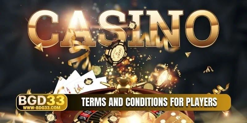 Terms and conditions for players