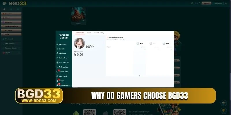 Why do gamers choose BGD33